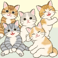 [LINEスタンプ] 男性も使いやすい猫にゃんスタンプ