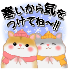 [LINEスタンプ] ハムスター「ハムたん」冬