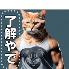 [LINEスタンプ] 【筋肉ねこ】マッチョすぎる猫・関西弁