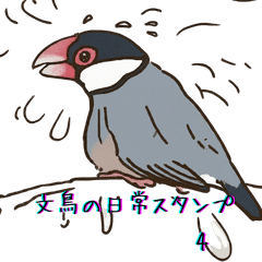 [LINEスタンプ] 文鳥の日常スタンプ 4 by oishiano